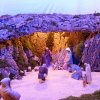 belen_2011 (3)
